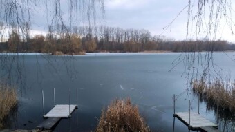 Today is spring, a bit of sun and warmth - My Actifit Report Card: February 28, 2025
