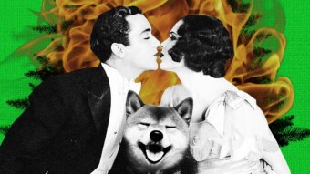 Bigger Entertainment Fulfills Promise as Shiba Inu (SHIB) Burn Intensifies