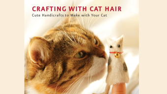 #CrapGotPublished - Crafting with Cat Hair