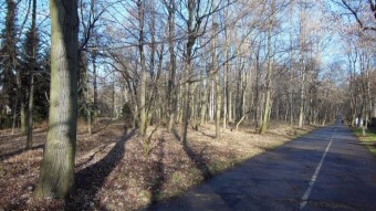 The weather was patchy, the sun only appeared for a moment, but still a decent temperature for January - My Actifit Report Card: January 15 2023