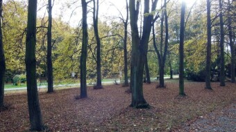 It's a beautiful end of October, you just want to go for a walk, it's just a pity that the days are so short