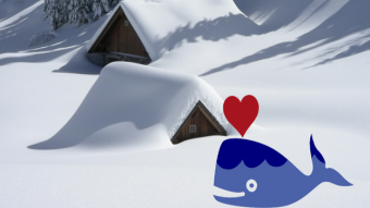 4 reasons to celebrate crypto winter