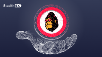 The Latest FEG Token Price Prediction 2025
