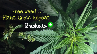 Free Unlimited Weed ... Plant Seeds.