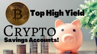Best High Yield Cryptocurrency Accounts: A Review [July 2022]