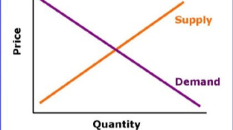 (Stu)Dying Economics?