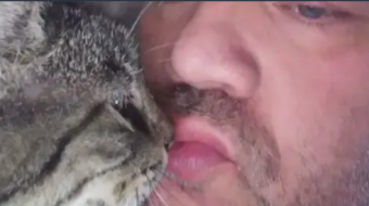 A Post About My Cat Kissing Me Has Made More $$$ Than Any Of My Other Post! I Can't Make This Stuff Up People😂🤣😂