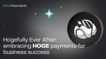 Hogefully Ever After: Embracing HOGE Payments for Business Success