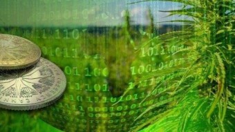 Best 5 Marijuana Cryptocurrencies