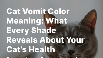 Cat Vomit Color Meaning: What Every Shade Reveals About Your Cat’s Health