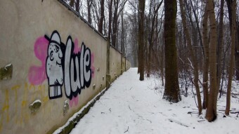 Today unconventionally - a walk along the wall - My Actifit Report Card: February 5 2023
