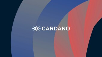 Cardano building up for future hegemony
