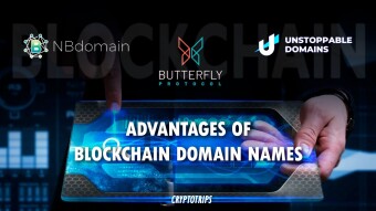 Advantages of Blockchain Domain Names: Butterfly Protocol, NBdomain and Unstoppable Domains