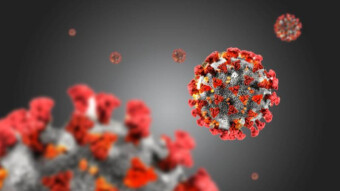 Blockchain and The Pandemic: Is Now a Time for The Technology to Rise Up?