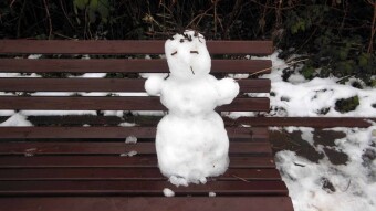 Today such flowers - My Actifit Report Card: January 16, 2025