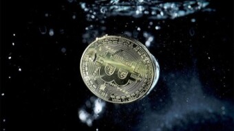 What is the probability of a fall in the price of bitcoin?