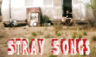 Stray Songs