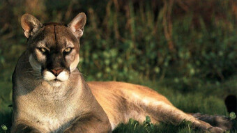 Bitcoin and Finance Charts To Start Week - 6/2