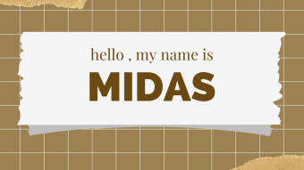 Naming a Brand Business | Let's examine Midas Token