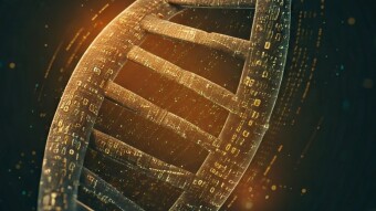 DNA memecoin Review - from Betasyndicate.eth