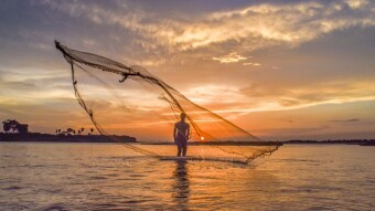 Fishermen catch fish with their nets