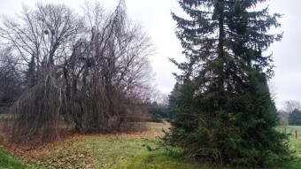 A chilly Sunday, but with an optimistic outlook - My Actifit Report Card: March 29, 2026