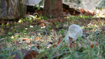 Cleaning the Earth one step at a time...