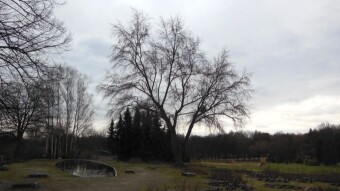 Windy but warm, so the walk was quite successful - My Actifit Report Card: February 6 2024