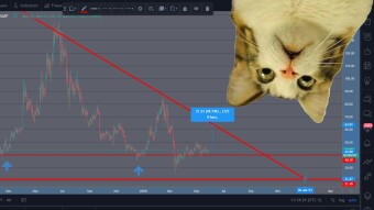 Main movements of litecoin in the following weeks