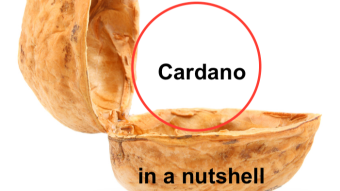 Is it worth it to buy Cardano today?