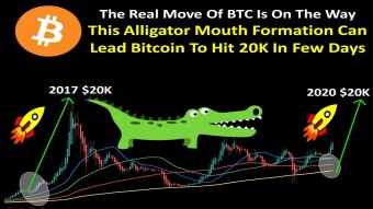 The Real Move Of BTC Is On The Way | This Alligator Mouth Can Lead Bitcoin To Hit 20K In Few Days