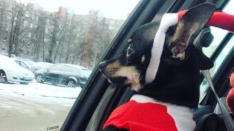 Crossing borders between Lithuania and Latvia for the first time by my own car