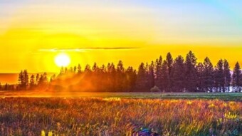 Ecosystem Economics