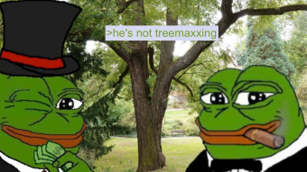Why Aren't You TreeMAXXING? | 4chan greentext