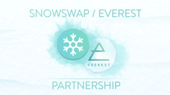 SnowSwap is proud to announce a partnership with Everest to bring institutional money into DeFi !