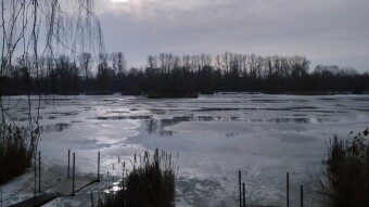 A big thaw and it finally smelled like spring - My Actifit Report Card: January 26, 2026
