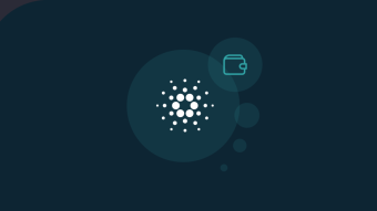 Cardano Coin Wallets 2020