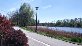 Thursday, I don't like it, but it's here - My Actifit Report Card: April 23, 2026