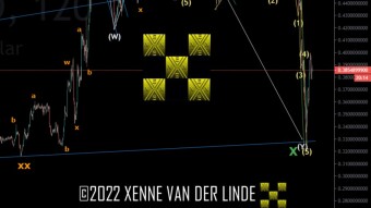 XRP EW Update 11/11/2022 A New Idea