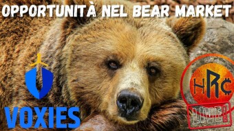 OPPORTUNITÀ NEL BEAR MARKET con Voxies ITALIA