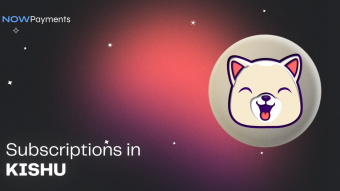 How to pay for subscriptions with Kishu Inu?