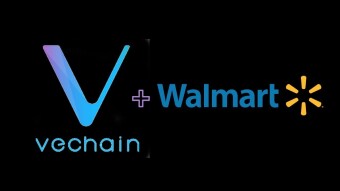 VeChain Is One Of The Few Projects That Will Come Out as a Winner From Crypto Bubble