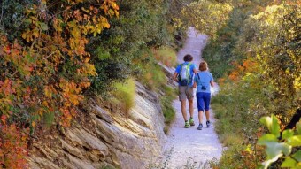 How Many Steps a Day to Stay Healthy