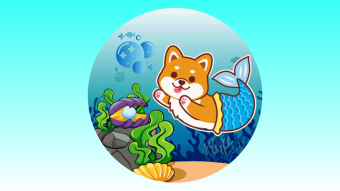 AquaDoge is The Next 10,000x Doge