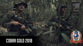 (IJCH) A Brother, Cobra Gold Joint Military Exercises and Snake Blood? Awesome!! (And So Good for You!)