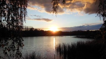 Cooler, but still nice - My Actifit Report Card: October 11 2024
