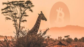 Africa's Bitcoin Volume Crosses Latin America and Sets a Record!