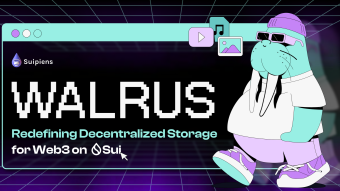 Walrus - Decentralized storage on SUI