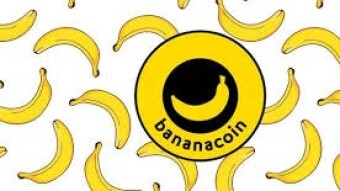 Bananacoin Project [ Comprehensive Guide to Help You Understand Bananacoin]
