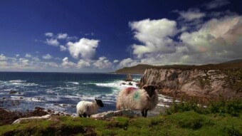 Old Ireland